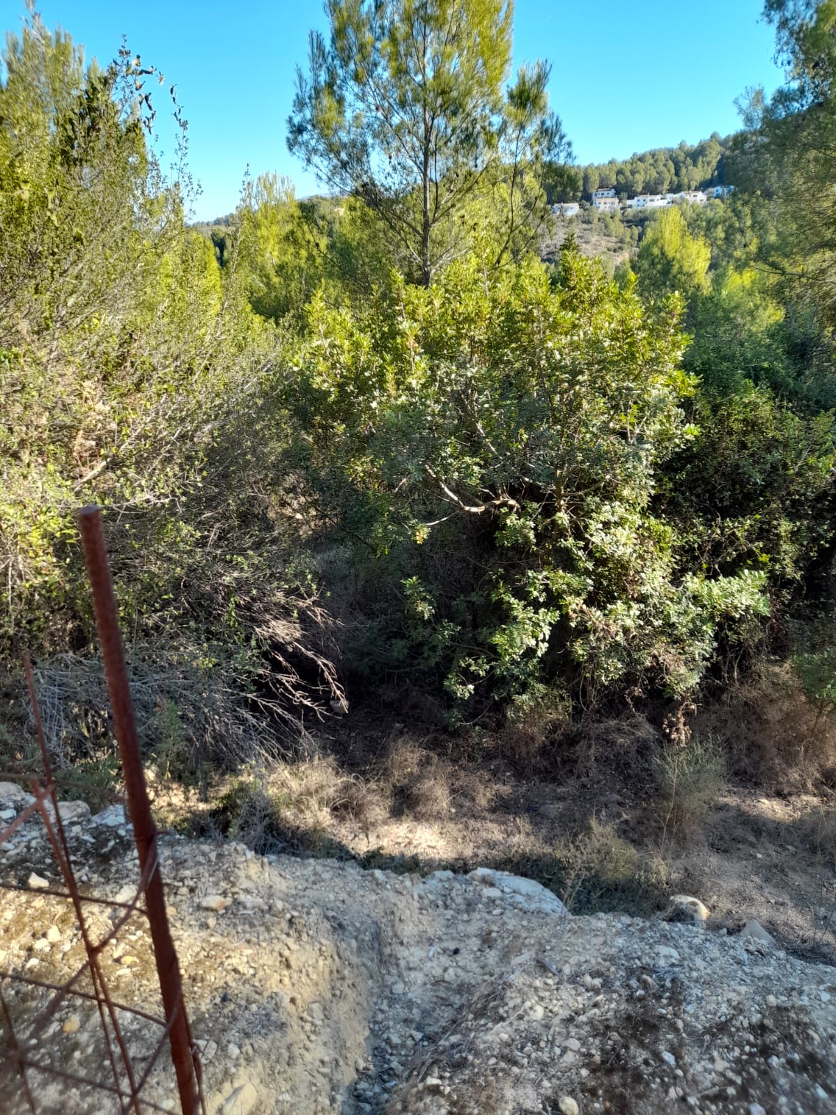 Property Image 3 Property Image 3