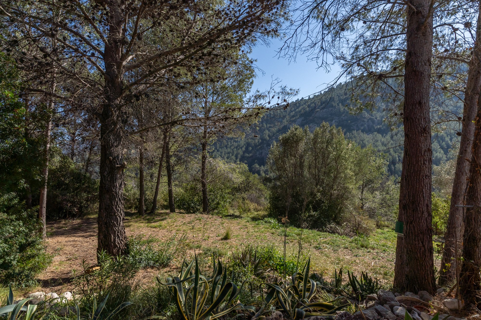Villa with 4 Bedrooms in Castell de Castells with Pool and Privacy