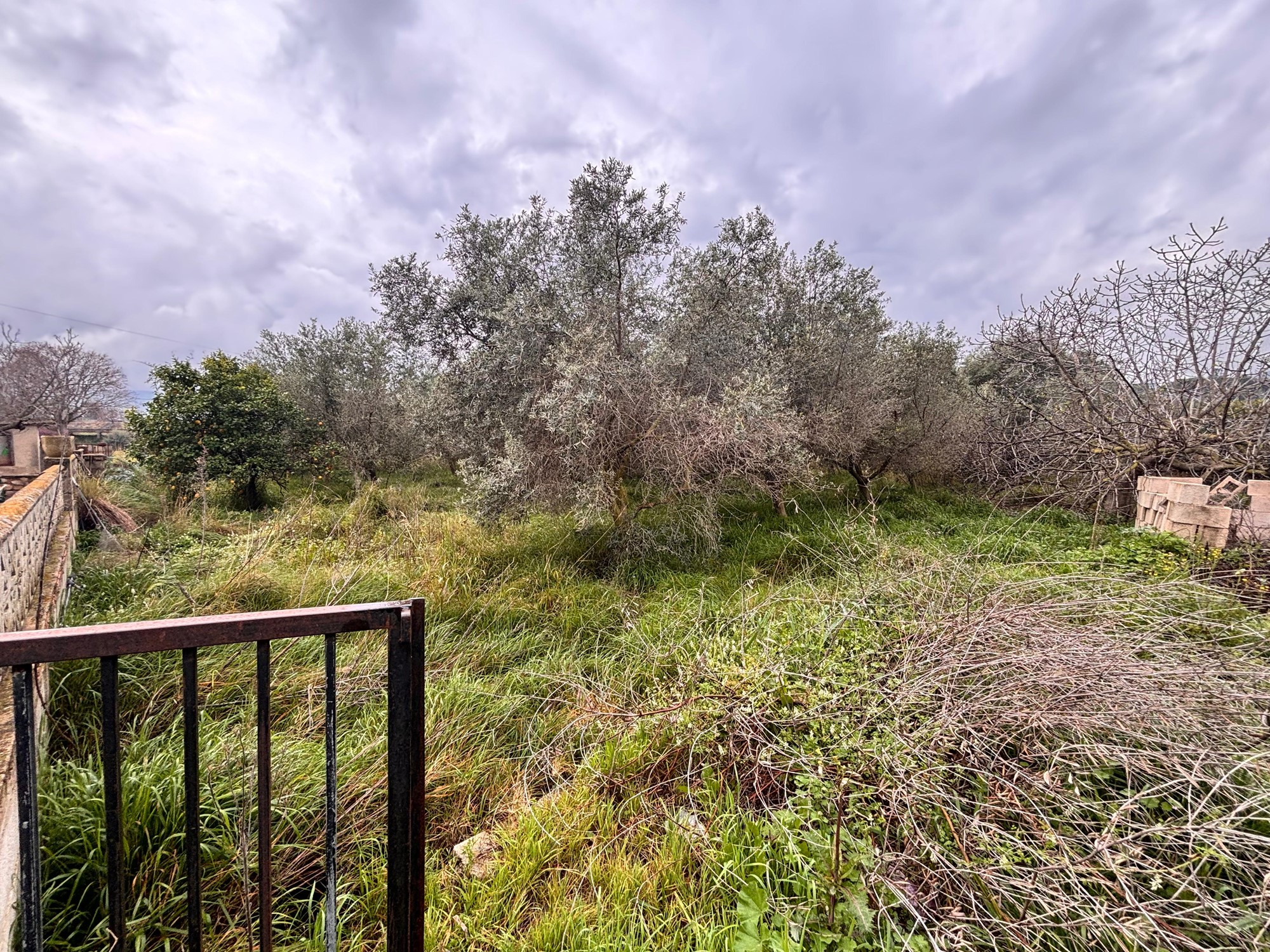 Finca with 2 Bedrooms in Beniarbeig with Private Pool