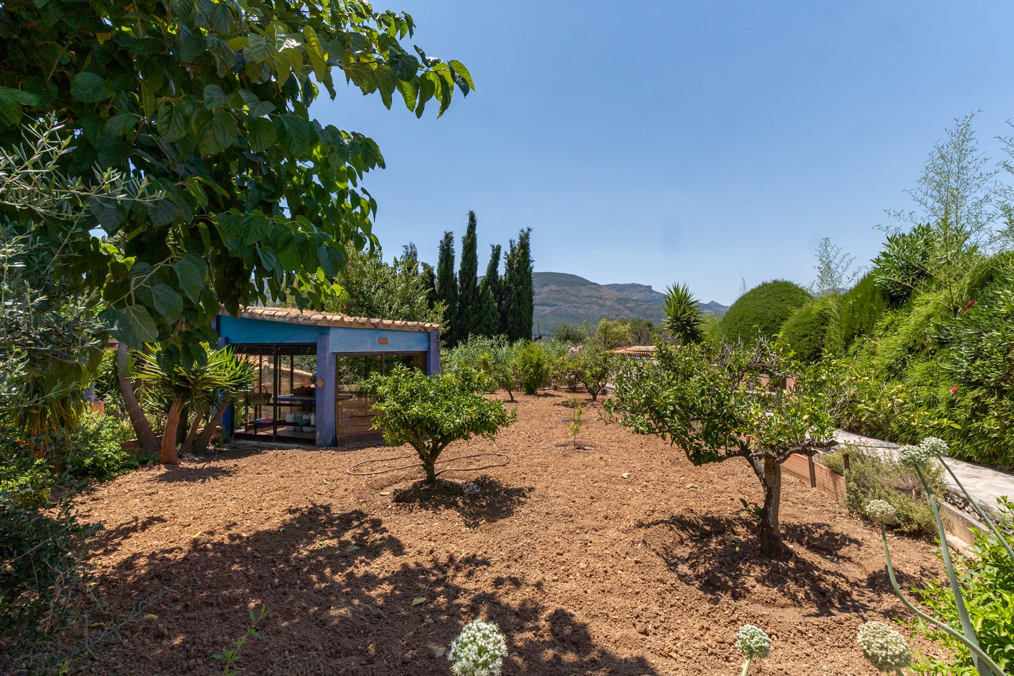 Villa, 3 Beds, Murla, Private Pool and Guest House