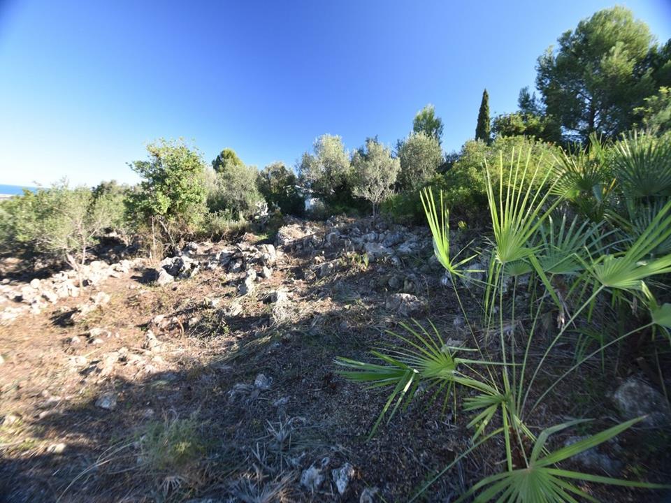 Plot in Monte Pego 