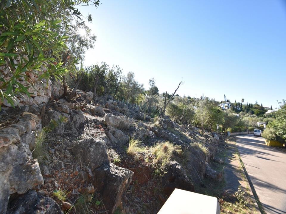 Plot in Monte Pego 