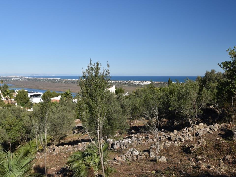 Plot in Monte Pego 