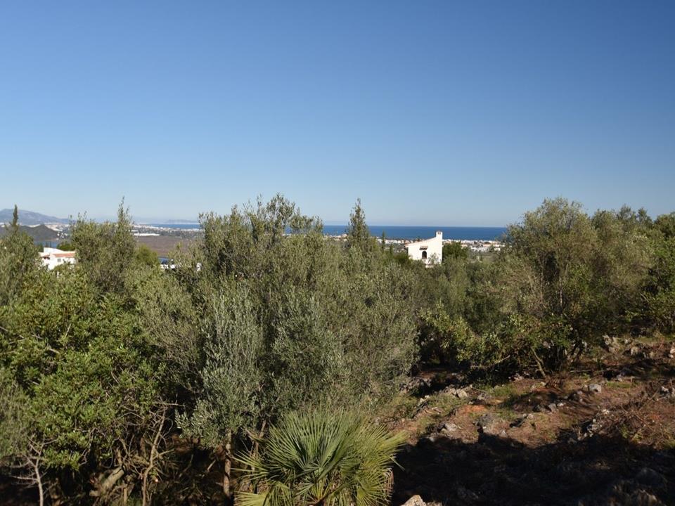 Plot in Monte Pego 
