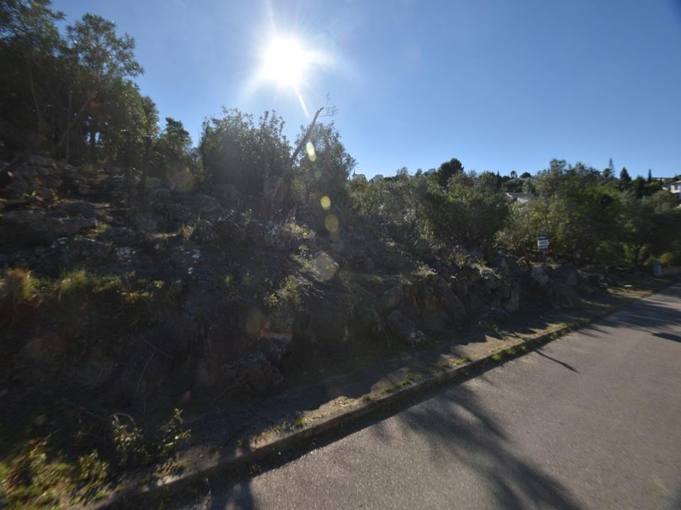Plot in Monte Pego 