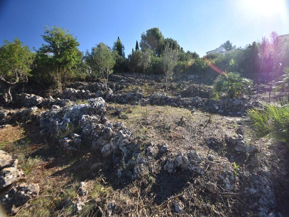 Plot in Monte Pego 