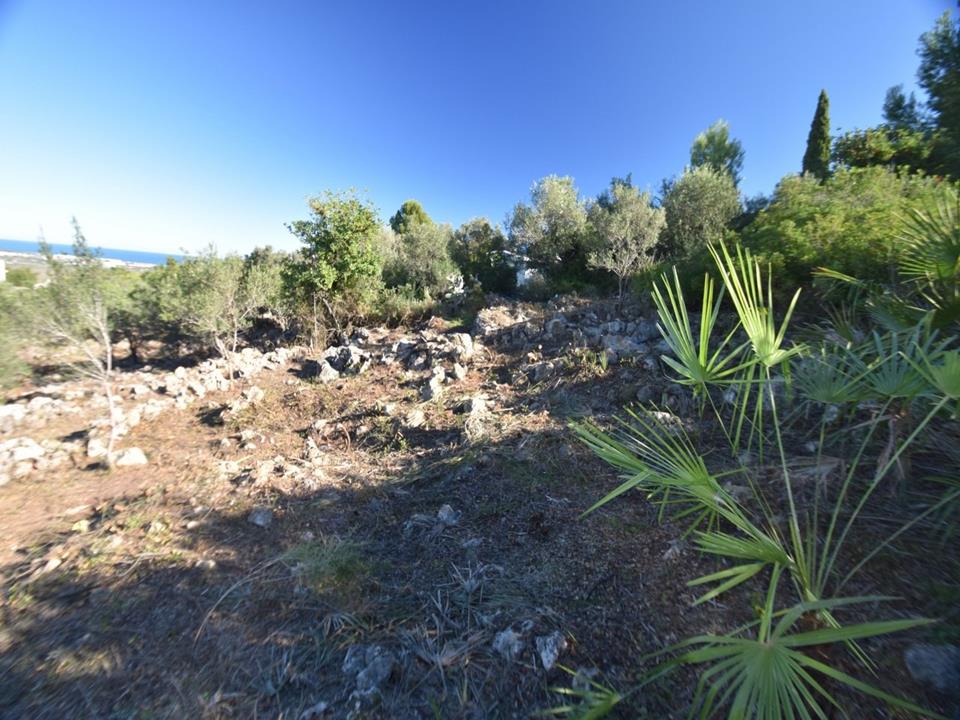 Plot in Monte Pego 