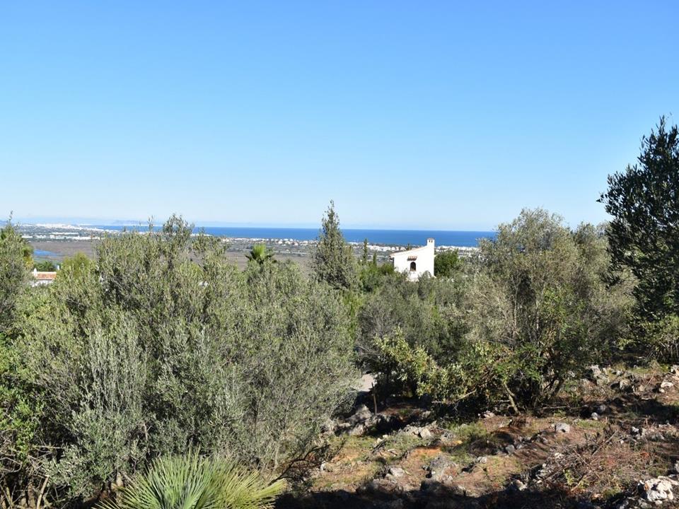 Plot in Monte Pego 