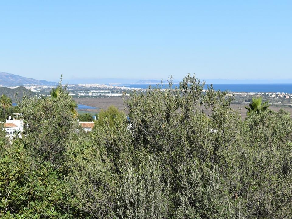 Plot in Monte Pego 