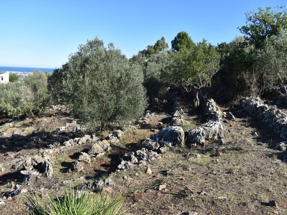 Plot in Monte Pego 