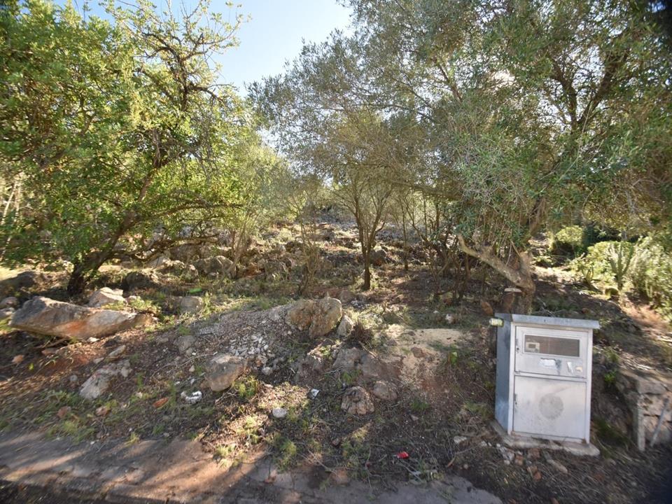 Plot in Monte Pego 