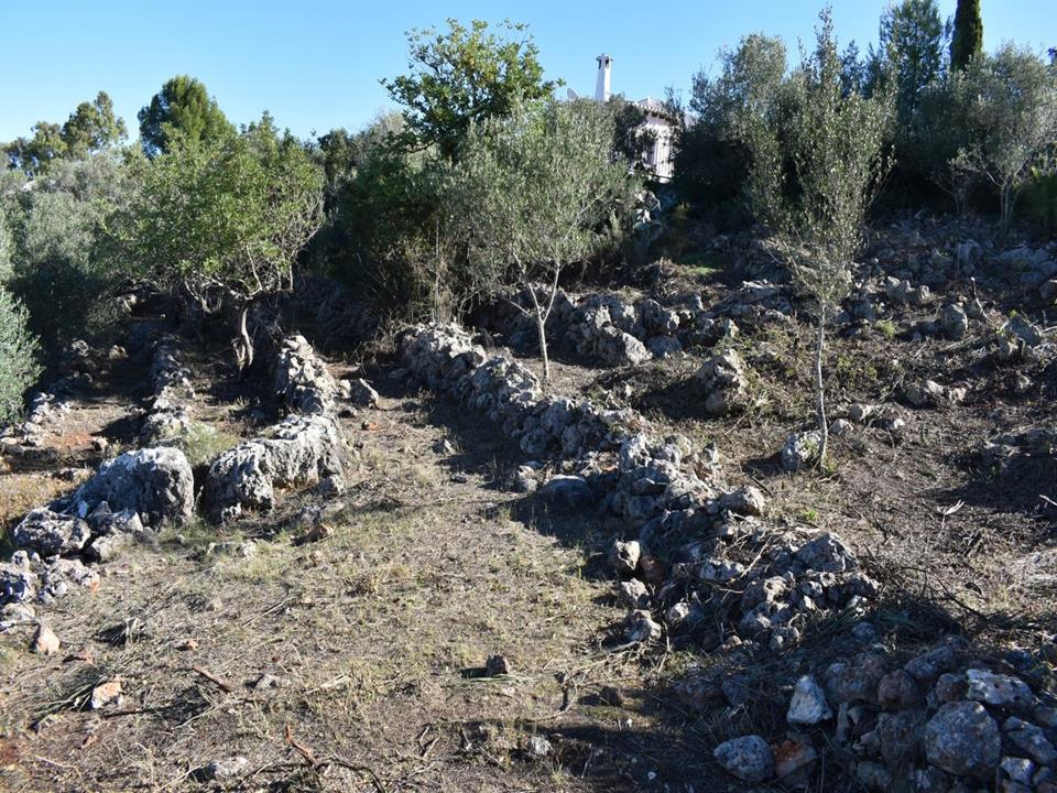Plot in Monte Pego 