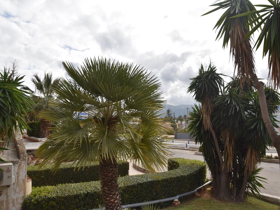 Business in Denia 