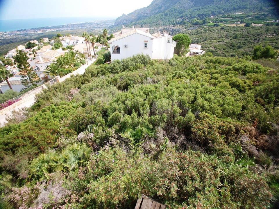 Plot in Monte Pego 