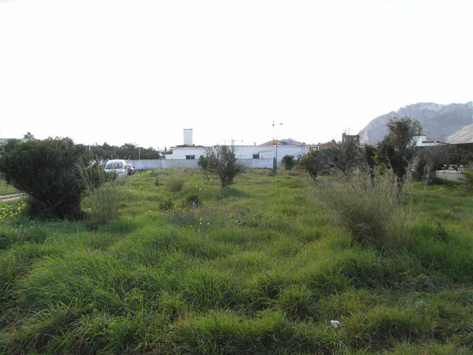 Plot in Els Poblets 