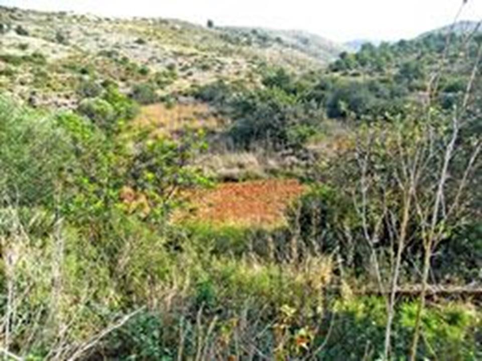Plot in Denia 