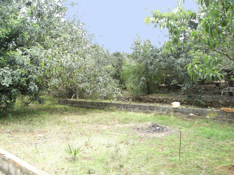 Plot in Denia 