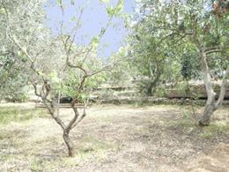 Plot in Denia 