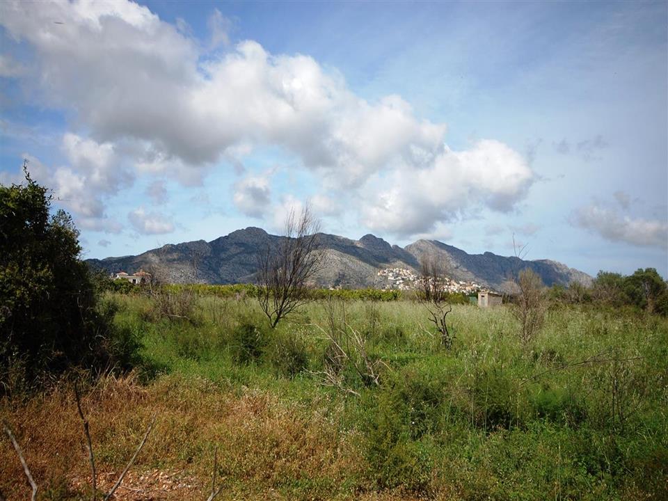Plot in Benidoleig 