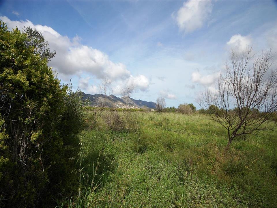 Plot in Benidoleig 