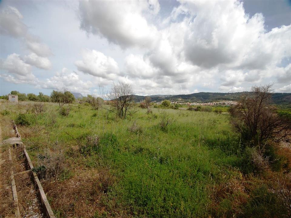 Plot in Benidoleig 