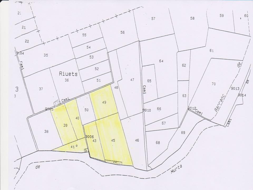 Plot in Benidoleig 