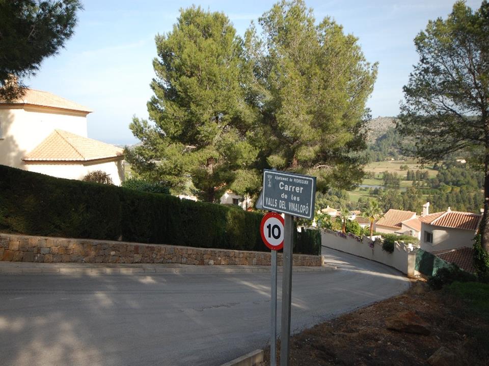 Plot in Pedreguer 