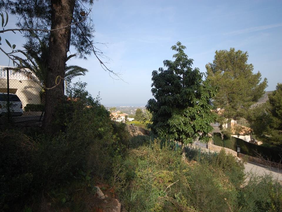 Plot in Pedreguer 