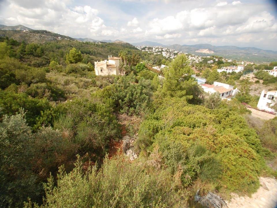 Plot in Monte Pego 