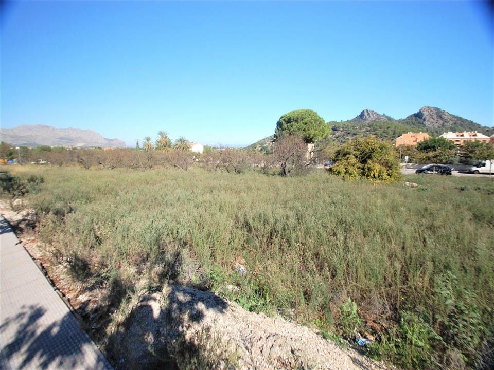 Plot in Pedreguer 