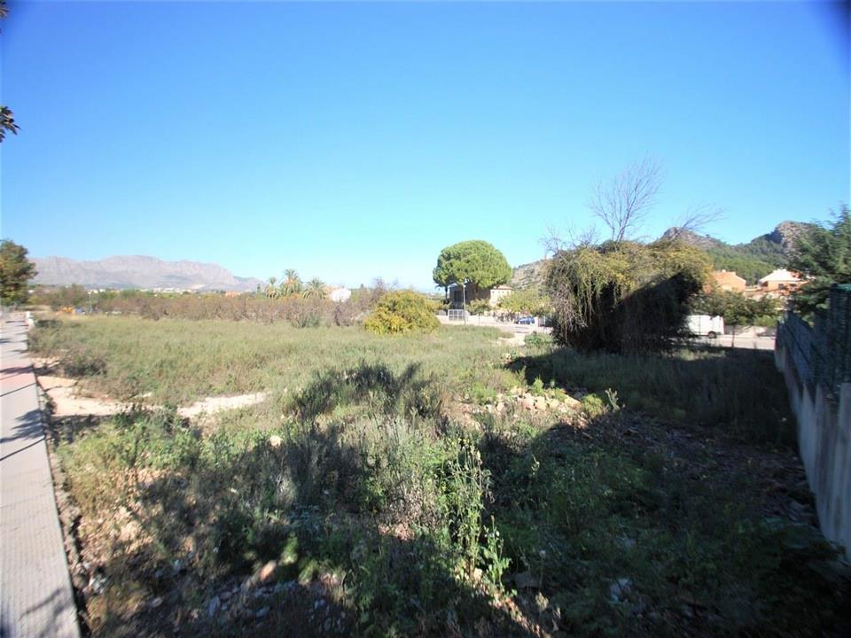 Plot in Pedreguer 