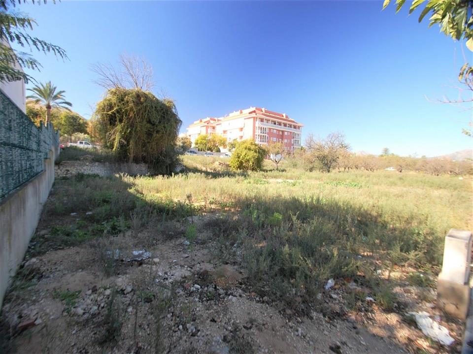 Plot in Pedreguer 