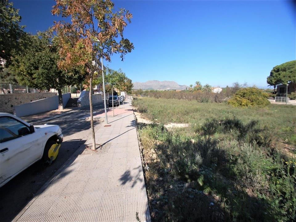 Plot in Pedreguer 