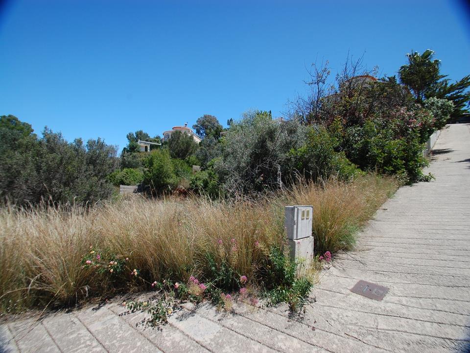 Plot in Denia 
