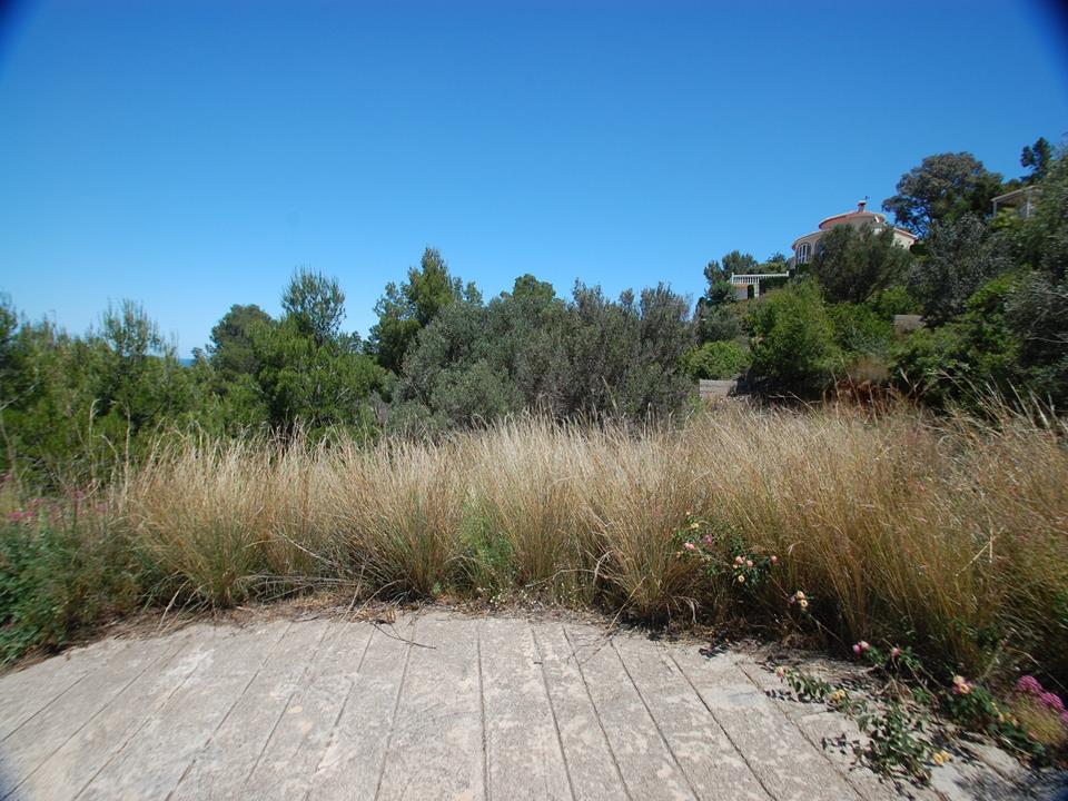 Plot in Denia 