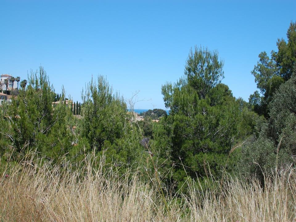 Plot in Denia 