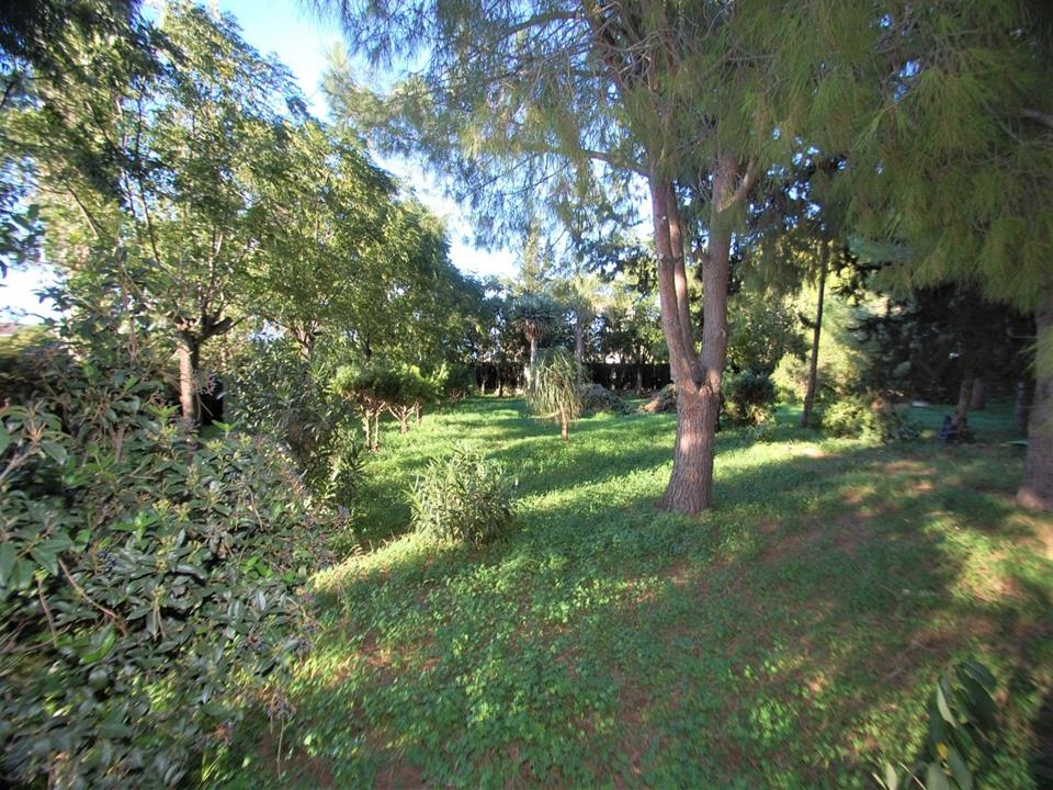Villa in Denia 