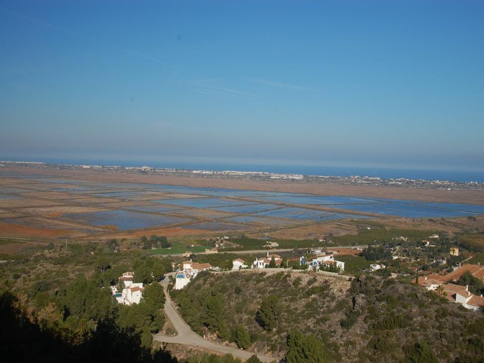 Plot in Monte Pego 