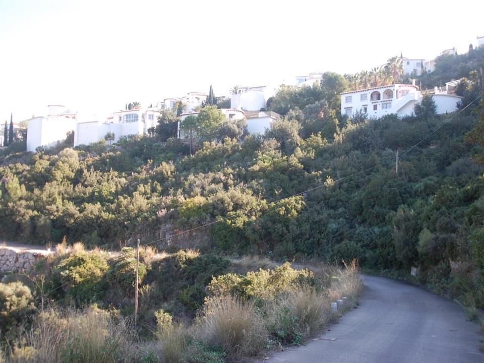 Plot in Monte Pego 