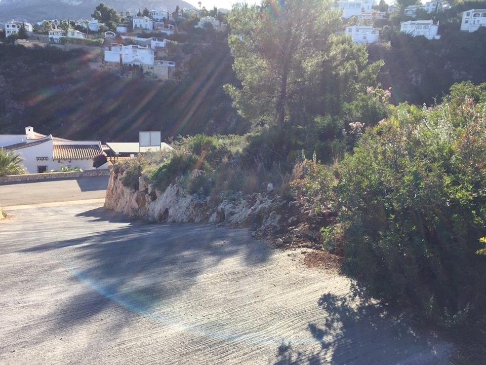 Plot in Monte Pego 