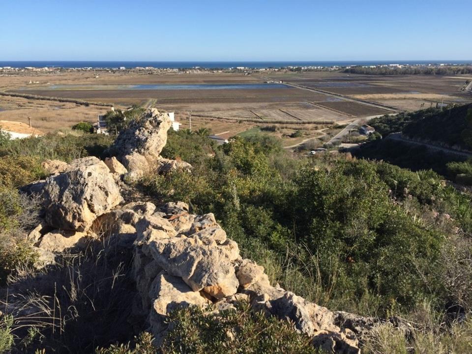 Plot in Monte Pego 