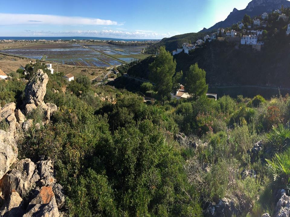 Plot in Monte Pego 