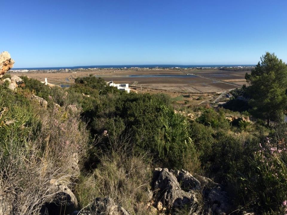Plot in Monte Pego 