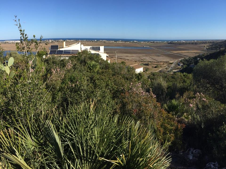 Plot in Monte Pego 