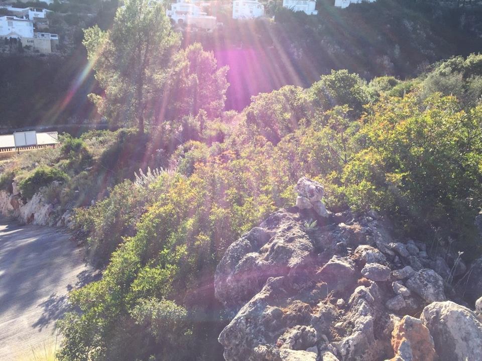Plot in Monte Pego 
