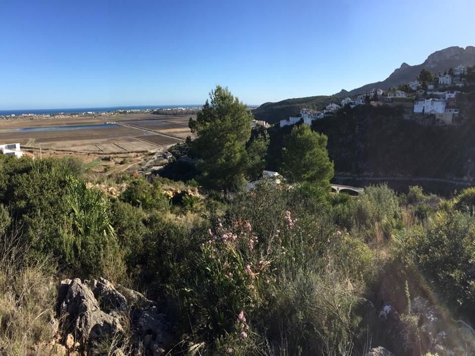 Plot in Monte Pego 