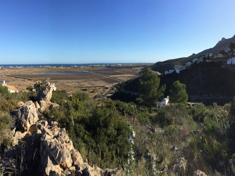 Plot in Monte Pego 