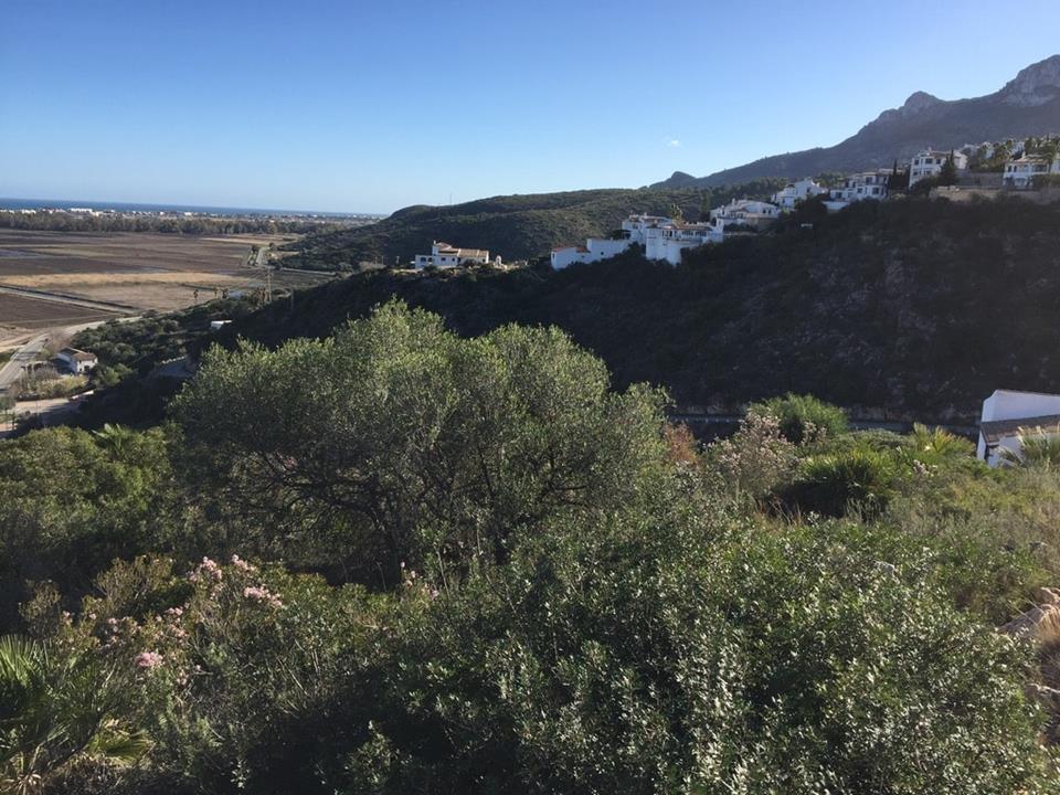 Plot in Monte Pego 