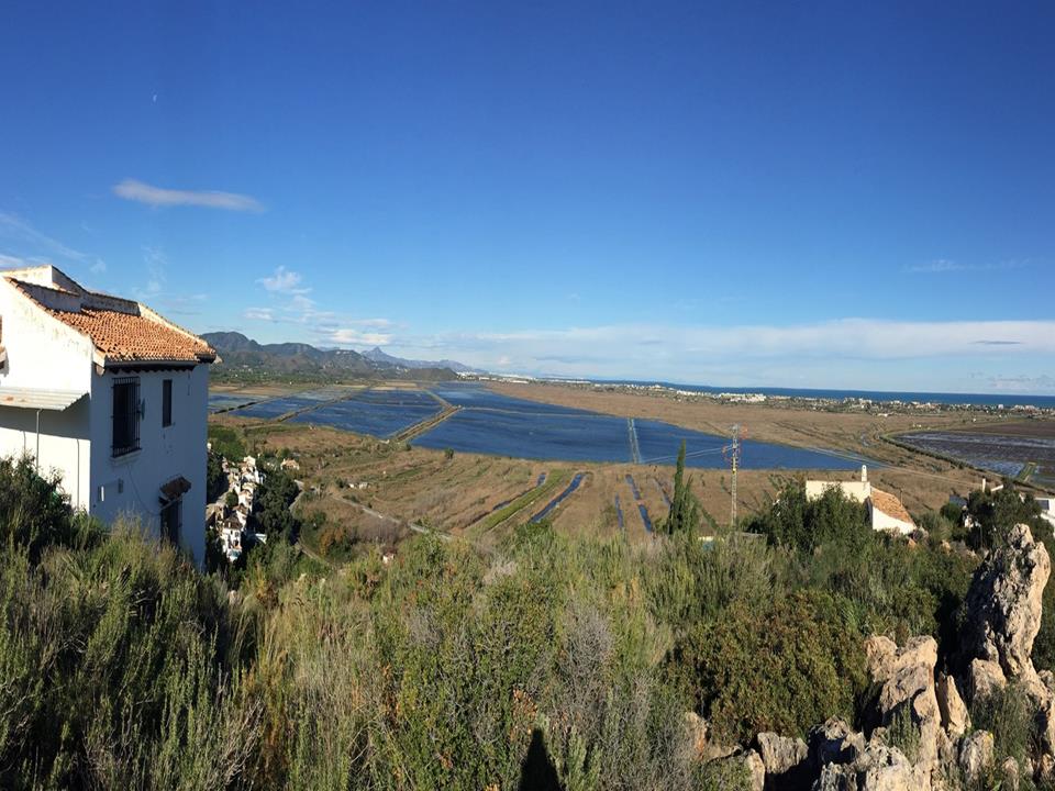 Plot in Monte Pego 