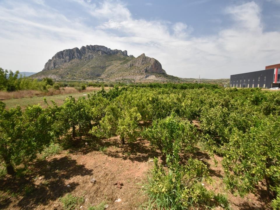 Plot in El Vergel-Els Poblets 